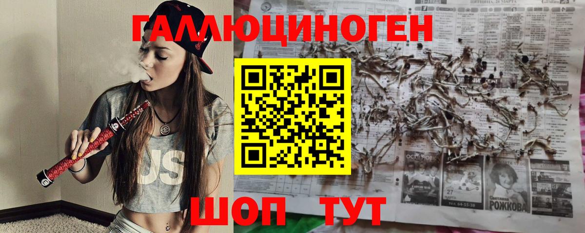 Псилоцибиновые грибы Cubensis  Вход с VPN  Среднеуральск  Псилоцибиновые грибы прущие грибы 