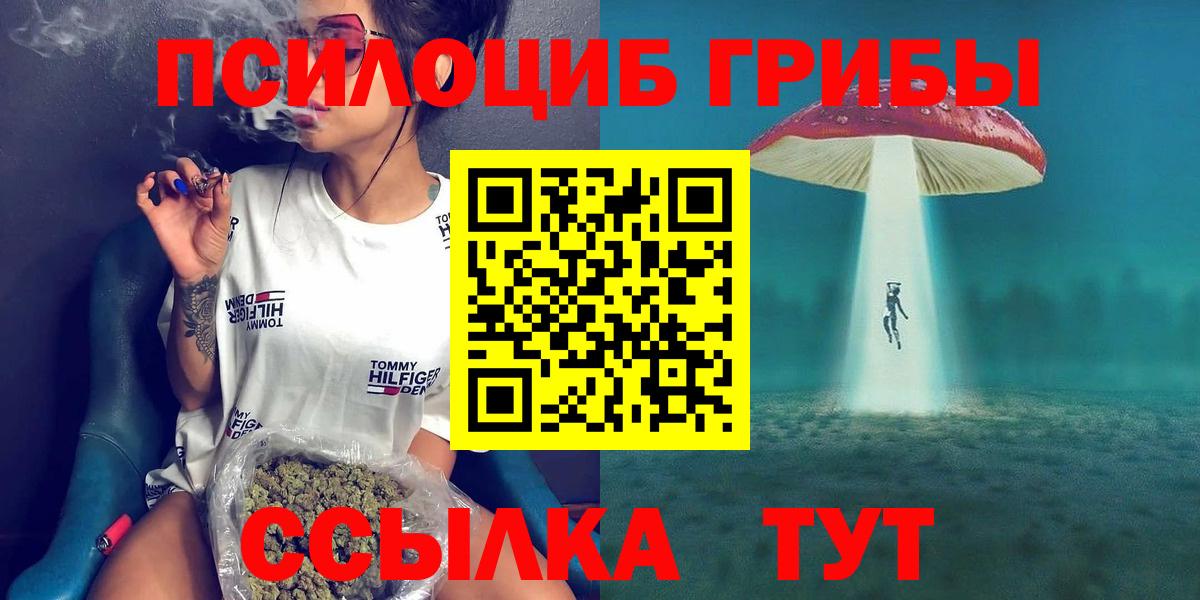 Галлюциногенные грибы Psilocybine cubensis Среднеуральск